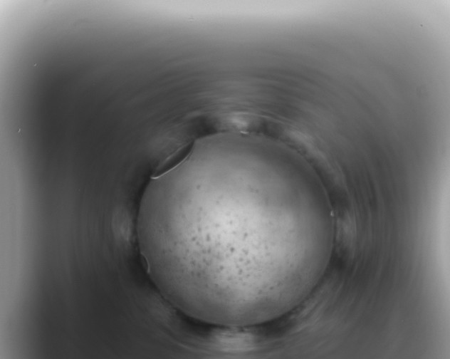 X0000089860331200707051138