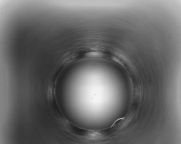 X0000089860333200707051138