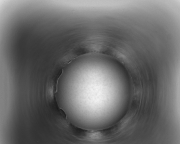 X0000089860334200707051138
