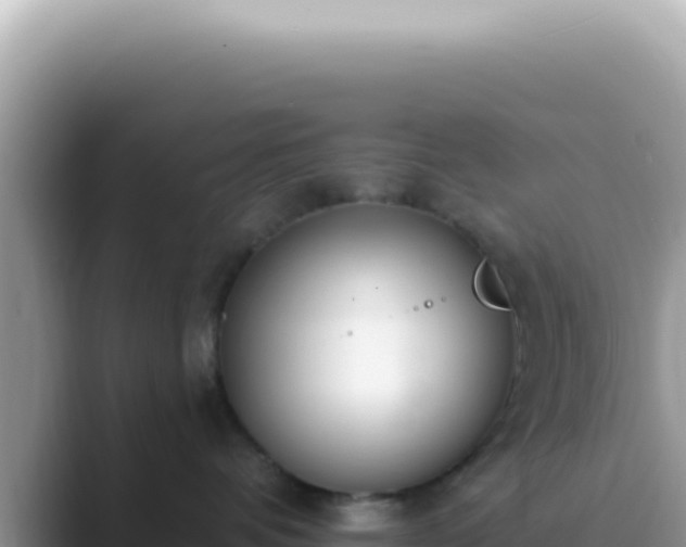 X0000089860336200707051138