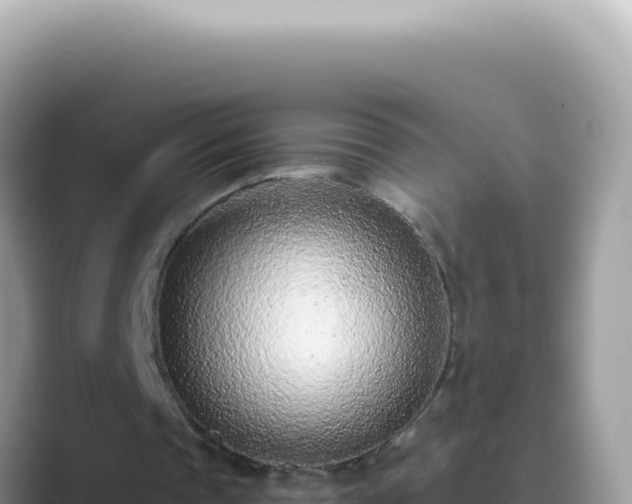 X0000089860337200707051137