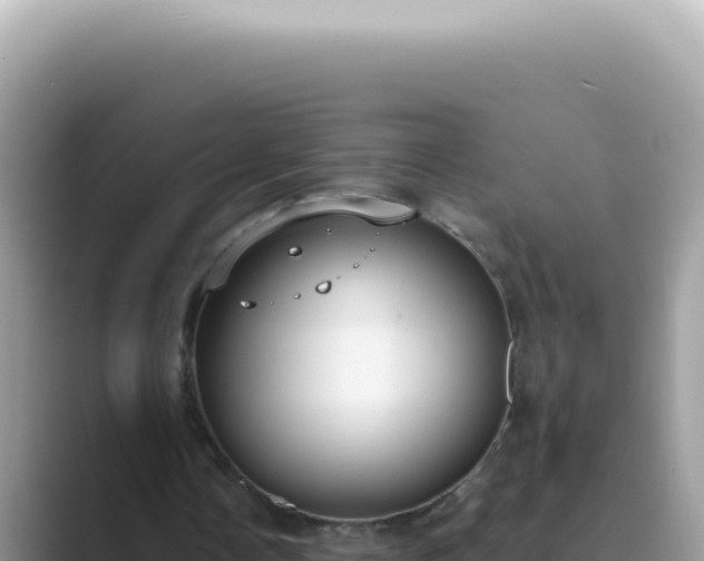 X0000089860338200707051137