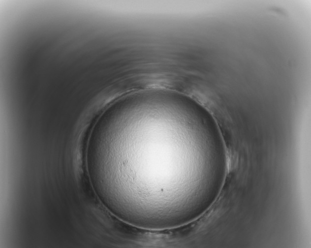 X0000089860339200707051137