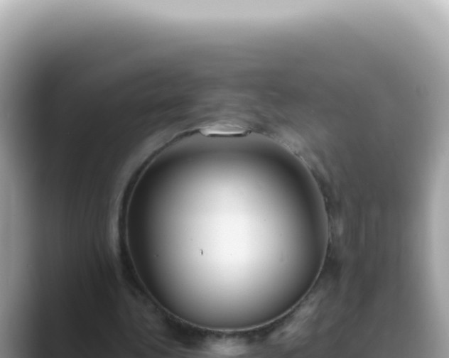 X0000089860340200707051137