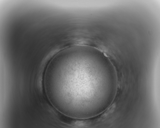 X0000089860341200707051137