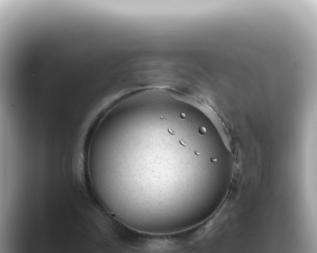X0000089860342200707051137