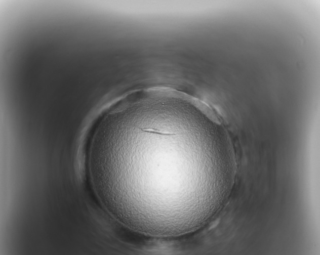 X0000089860343200707051137