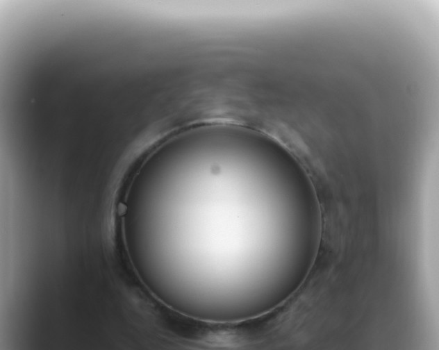 X0000089860344200707051137