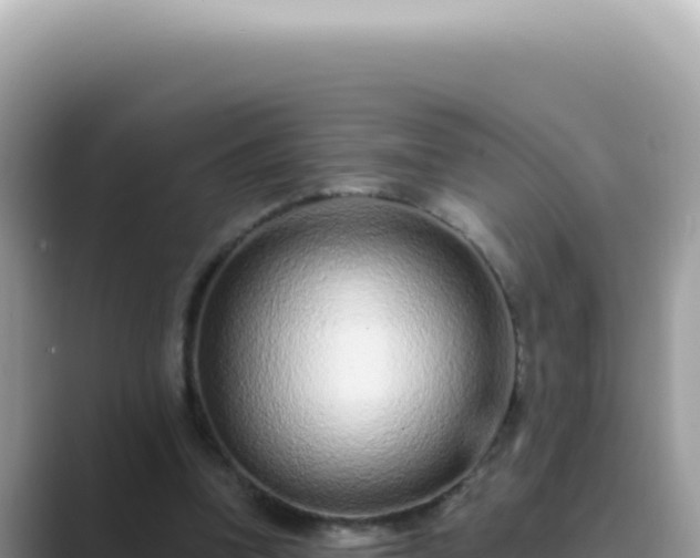 X0000089860346200707051137