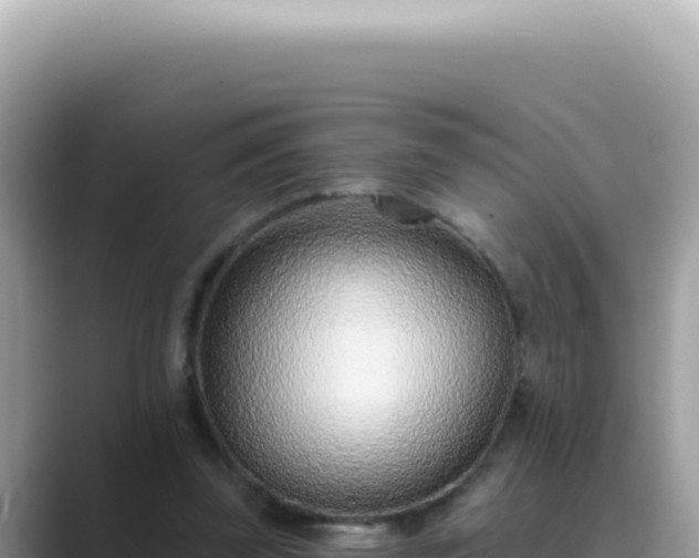 X0000089860347200707051137