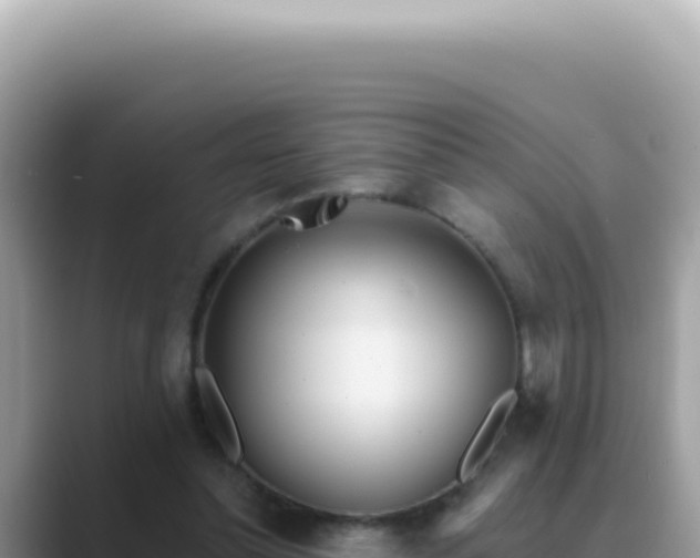 X0000089860348200707051137