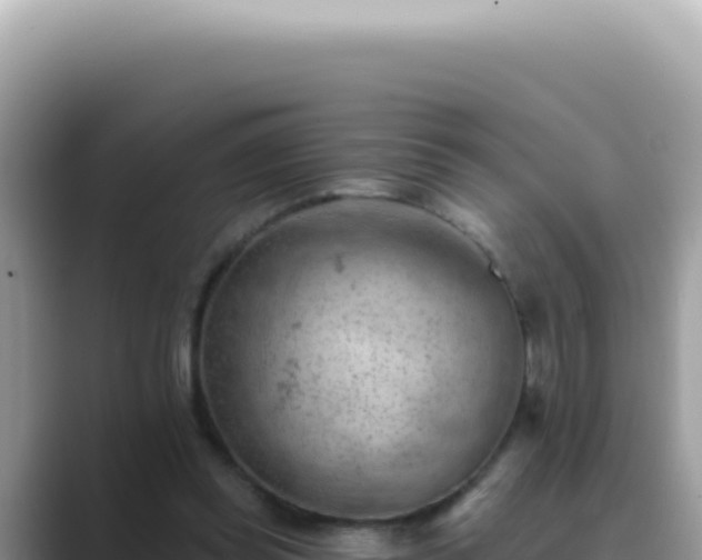 X0000089860349200707051137