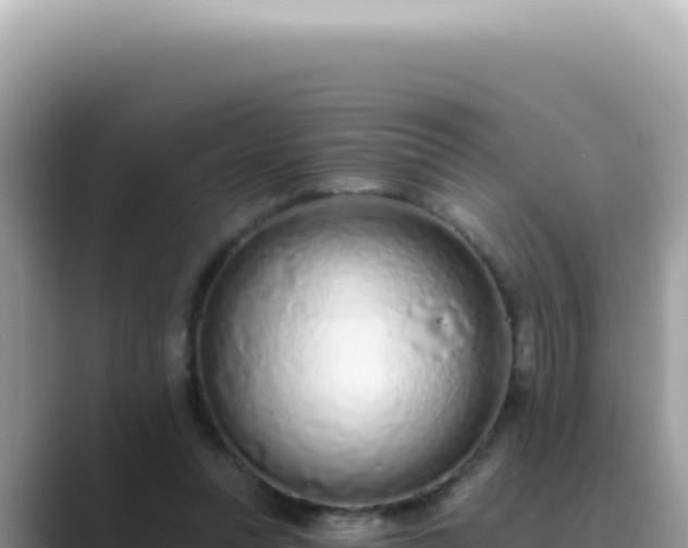 X0000089860351200707051137
