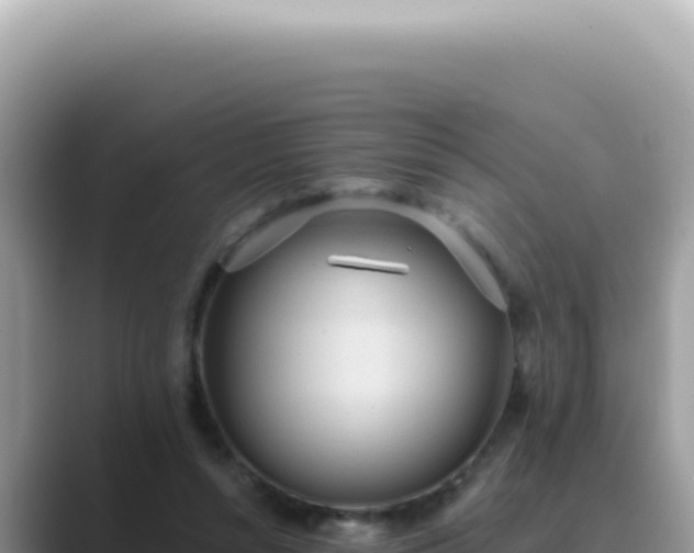 X0000089860352200707051137