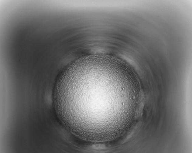 X0000089860353200707051137