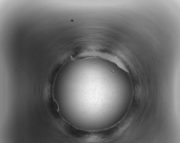 X0000089860356200707051137