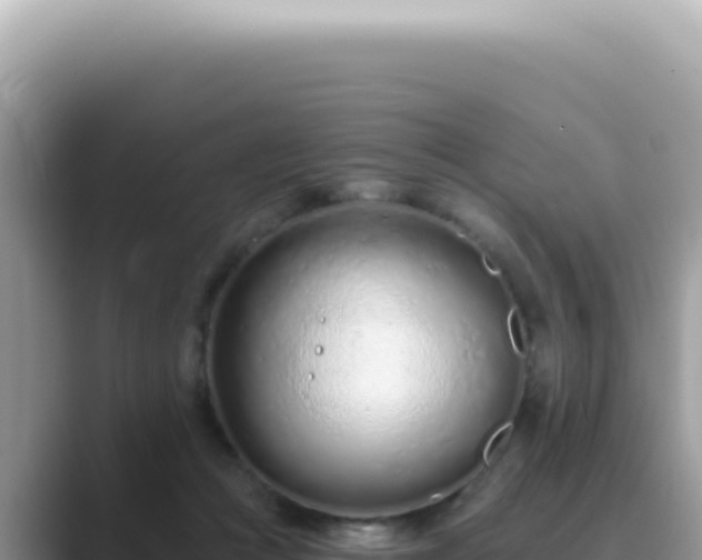 X0000089860361200707051137