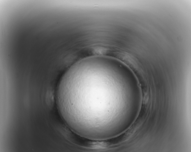 X0000089860363200707051137