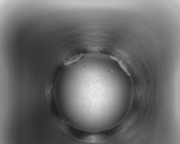 X0000089860364200707051137
