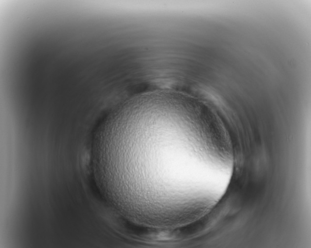 X0000089860365200707051137