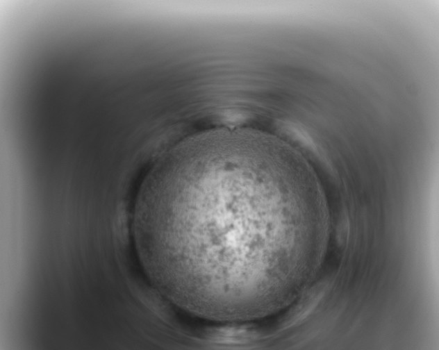 X0000089860366200707051137