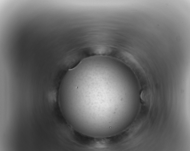 X0000089860368200707051137