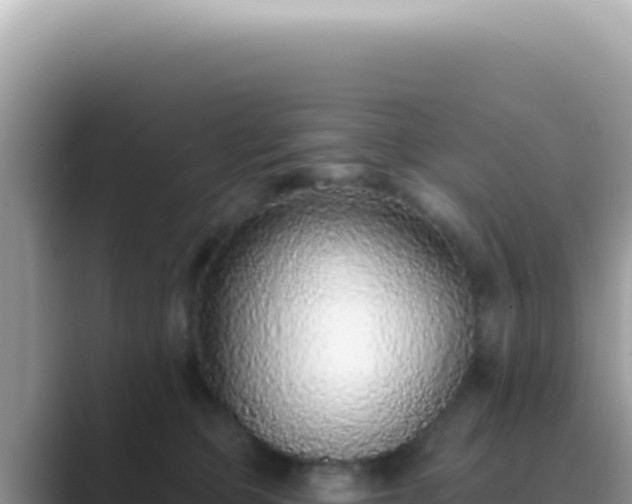 X0000089860373200707051137
