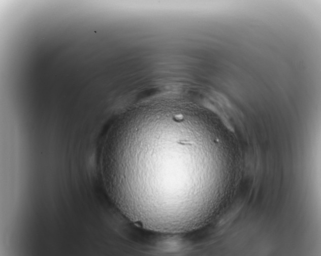 X0000089860377200707051138