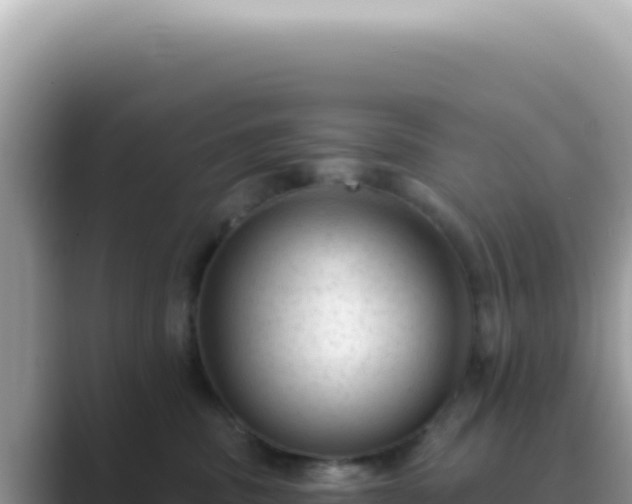 X0000089860379200707051138