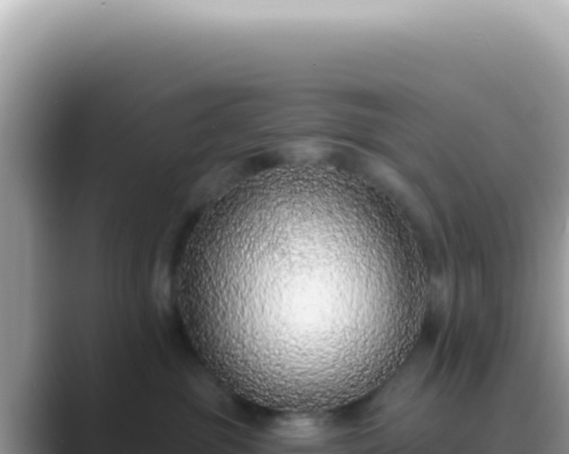 X0000089860381200707051138