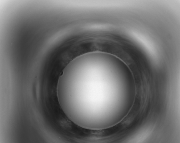 X0000089860382200707051138