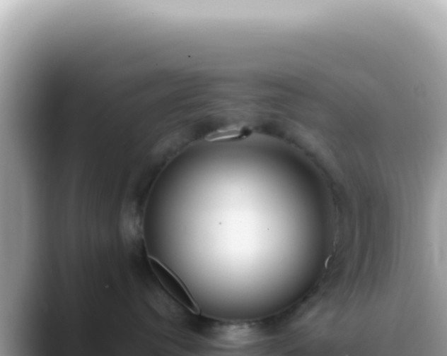 X0000089860384200707051138