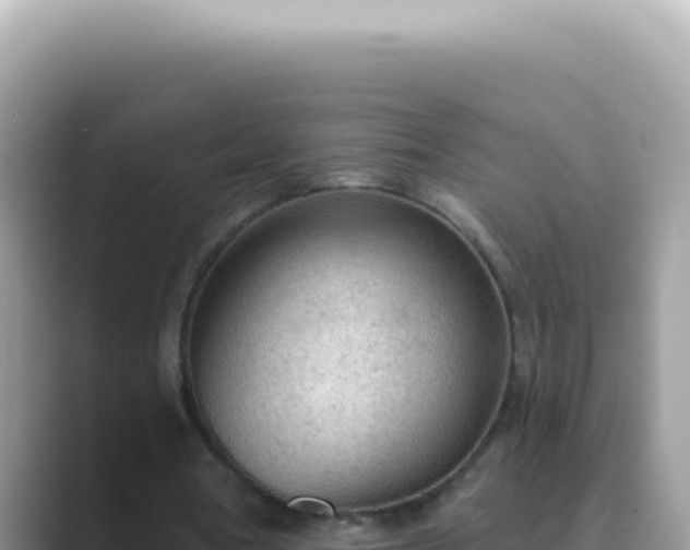 X0000089860386200707051137