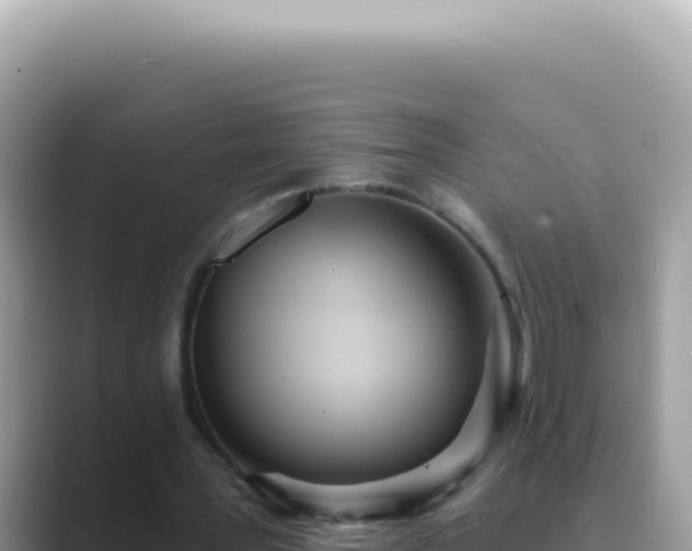 X0000089860387200707051137