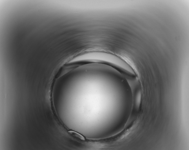 X0000089860389200707051137
