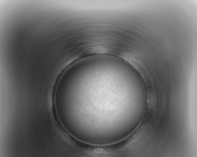 X0000089860390200707051137