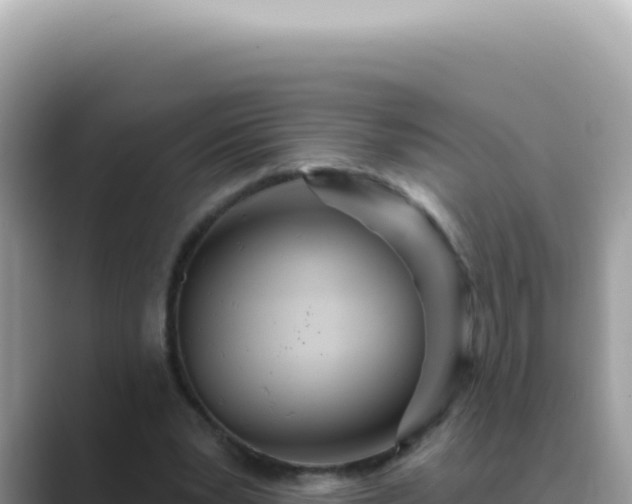 X0000089860391200707051137