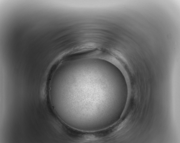 X0000089860392200707051137