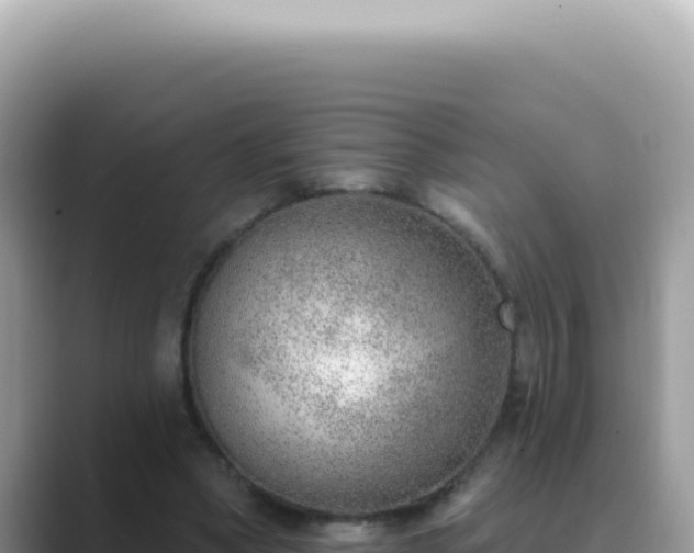 X0000089860394200707051137