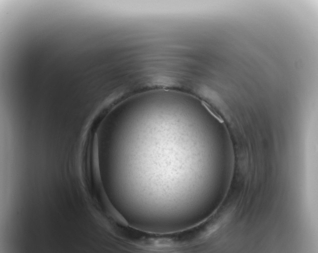 X0000089860395200707051137