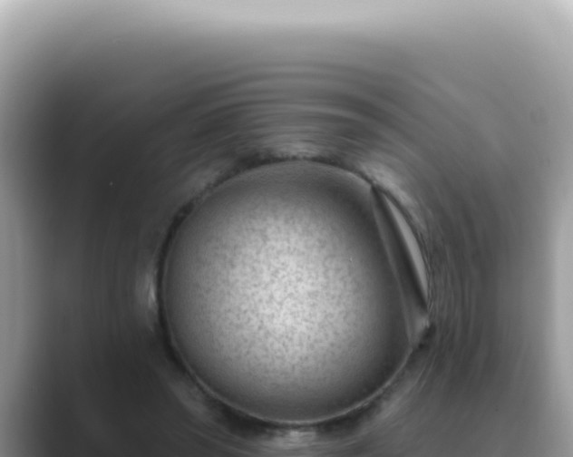 X0000089860398200707051137