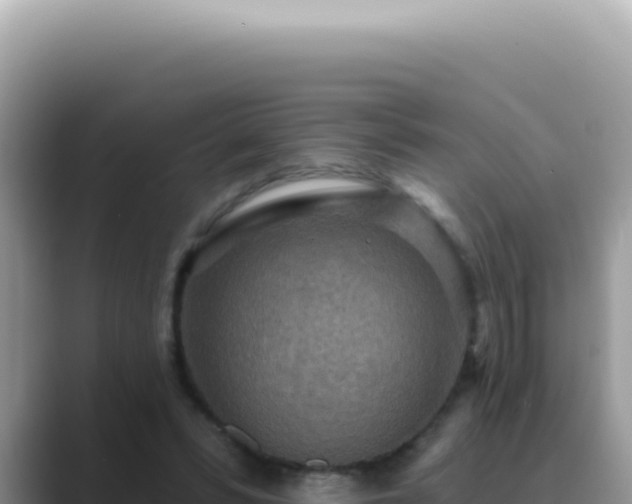 X0000089860399200707051137