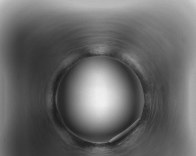 X0000089860400200707051137