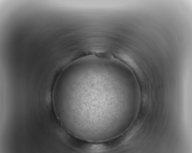 X0000089860401200707051137