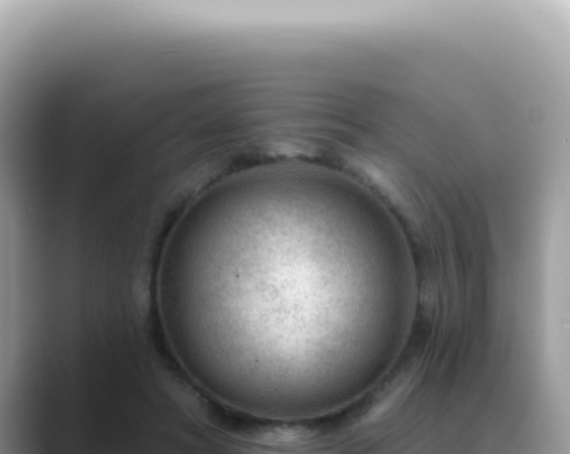 X0000089860402200707051137