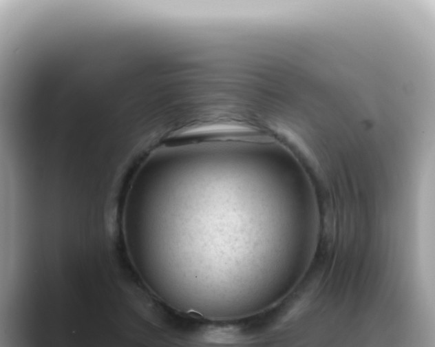 X0000089860403200707051137