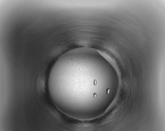 X0000089860404200707051137