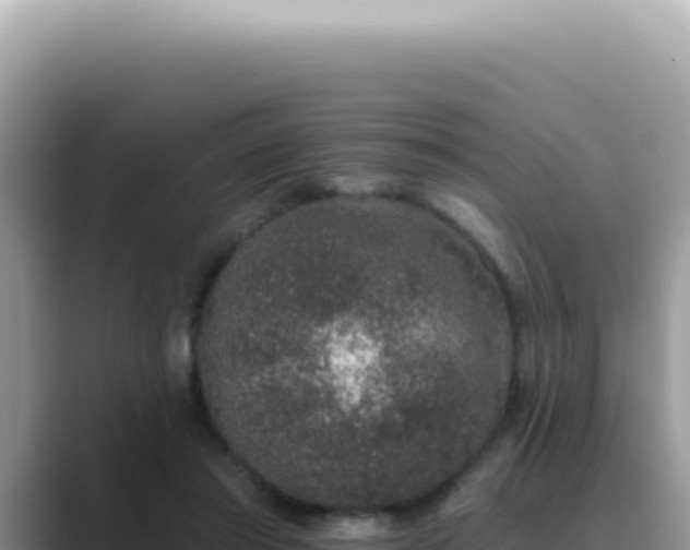 X0000089860405200707051137