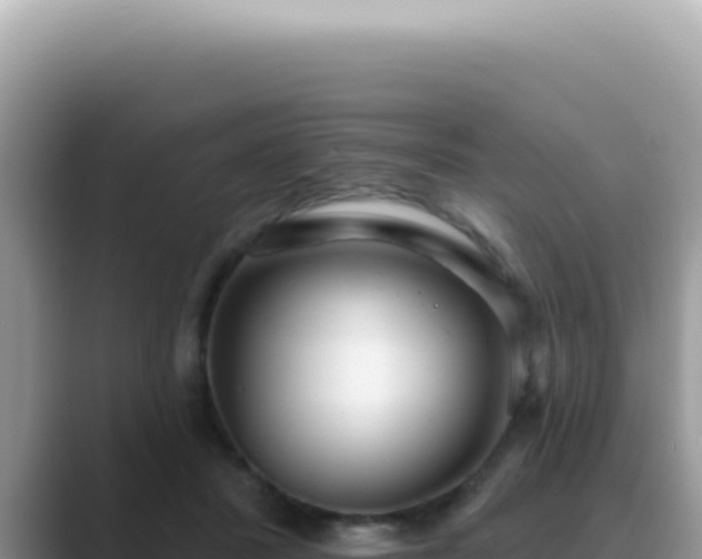 X0000089860407200707051137