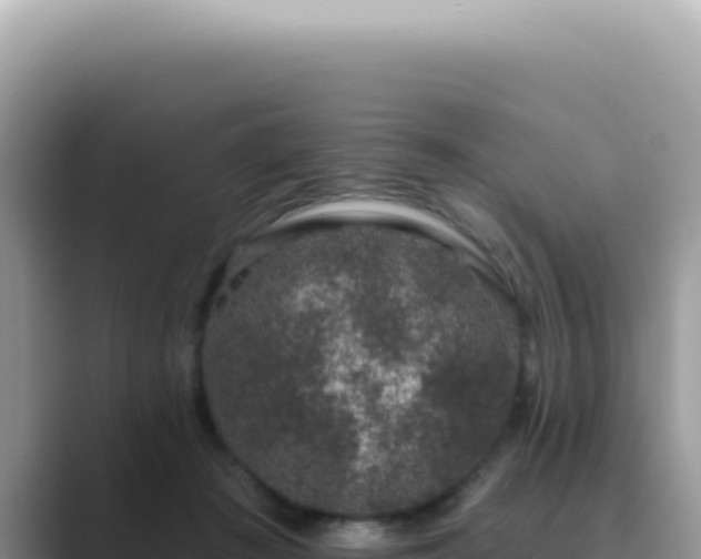 X0000089860409200707051137